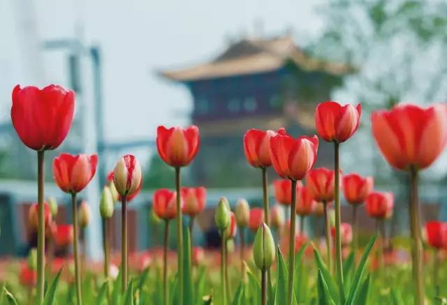 黄石招商引资2024,黄石招商引资通报最新