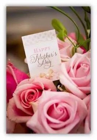 淳萃礼遇｜长情告白你的不老女神！