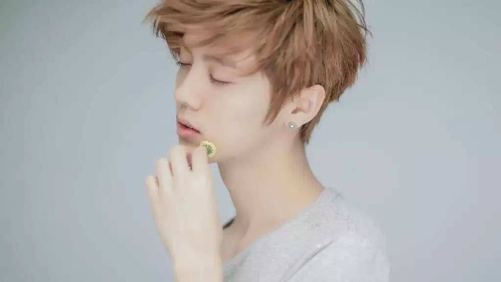 鹿晗森林里的小鹿,鹿晗杨树林