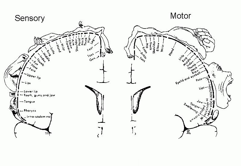 耳鬓厮磨是什么感觉,耳鬓厮磨的含义是什么
