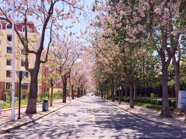 路过的风景抖音,路过的风景古筝版