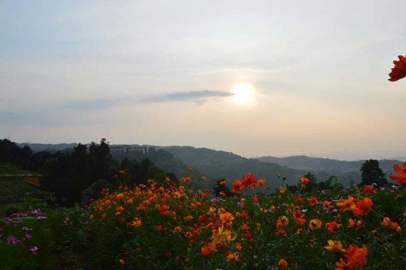 重庆私藏好吃的地方,重庆荣昌附近哪里有好玩的农家乐