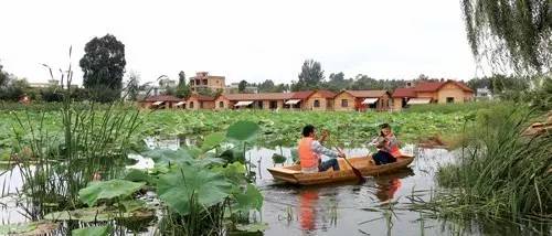 春天来春城昆明7大赏花好去处,昆明小众避暑胜地推荐