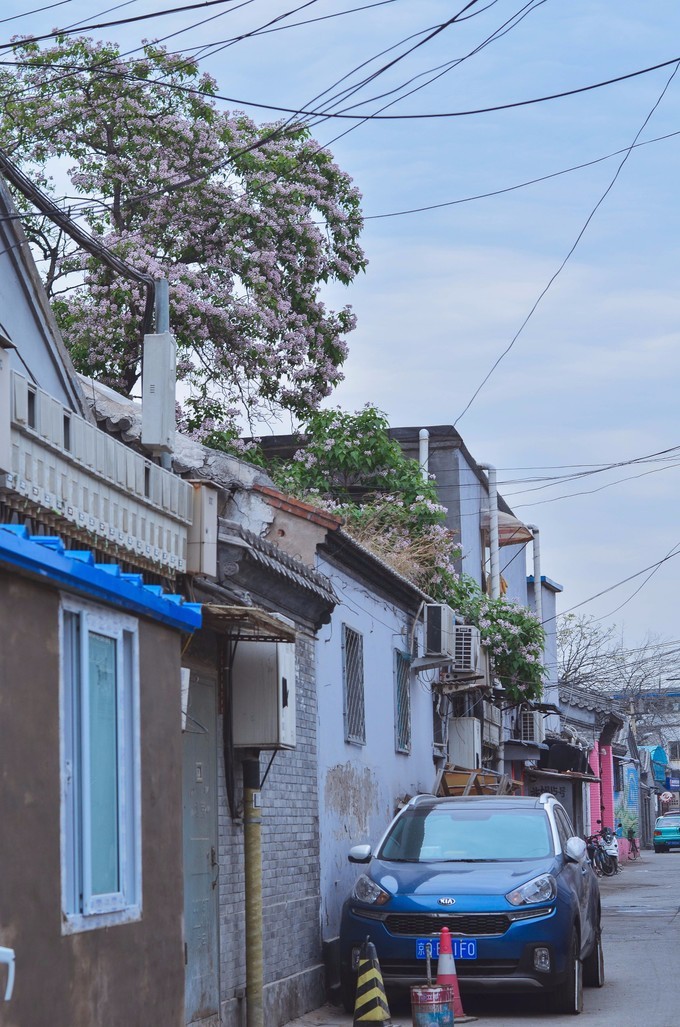 一个单反·踏春北上错过北奥，错过APEC，终于！我这一个小老百姓来到了皇城根底下