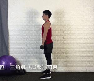 哑铃塑形动作大全,20斤哑铃练手臂的全套动作