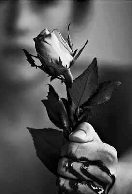 二婚过够了又没办法离,二婚也离了还有人要吗