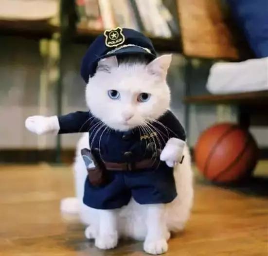 日食记里面的姜老刀的长相,日食记的姜老刀和女朋友照片