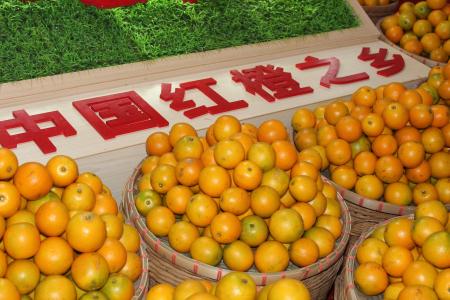 世界电饭煲之乡,中国电饭煲之乡