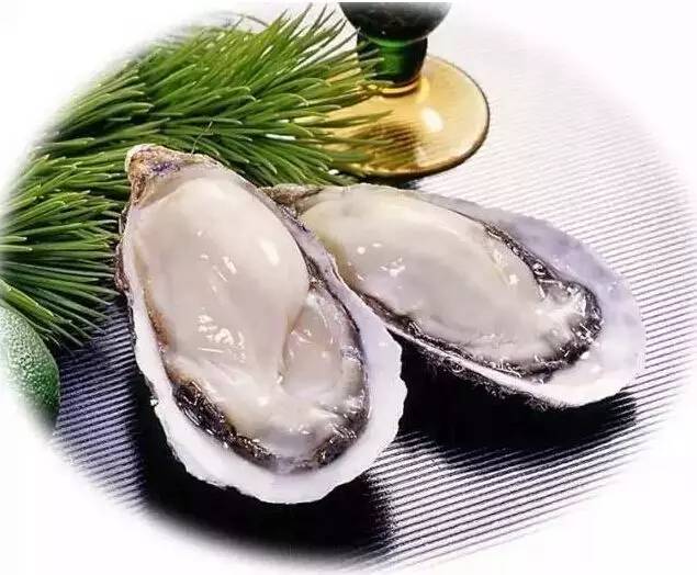 大连海鲜6月份,大连海鲜季节表