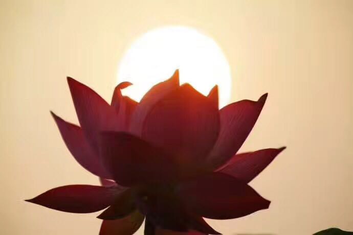 所有遇见都是美好的,所有遇见皆是修行