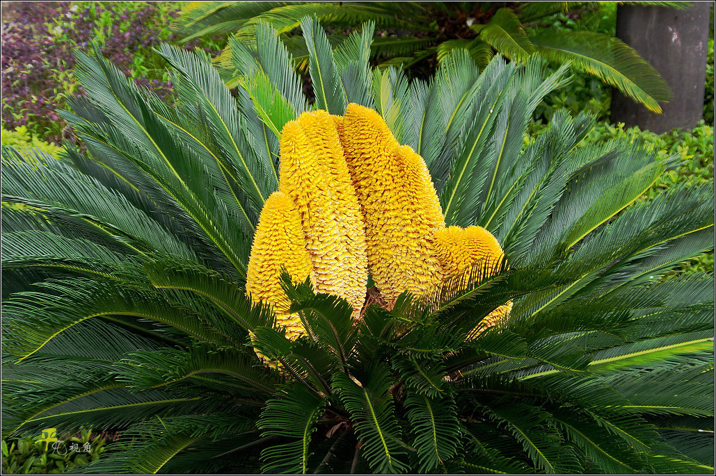 注意这几件事让你永葆青春,注意这些让你少吃亏