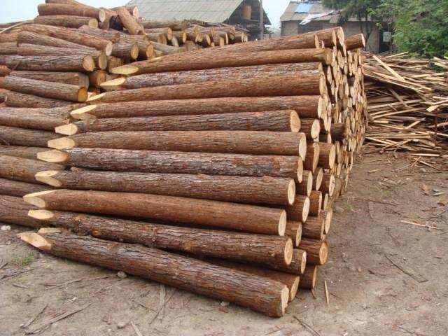 松木为什么是环保家具,松木全实木家具环保么