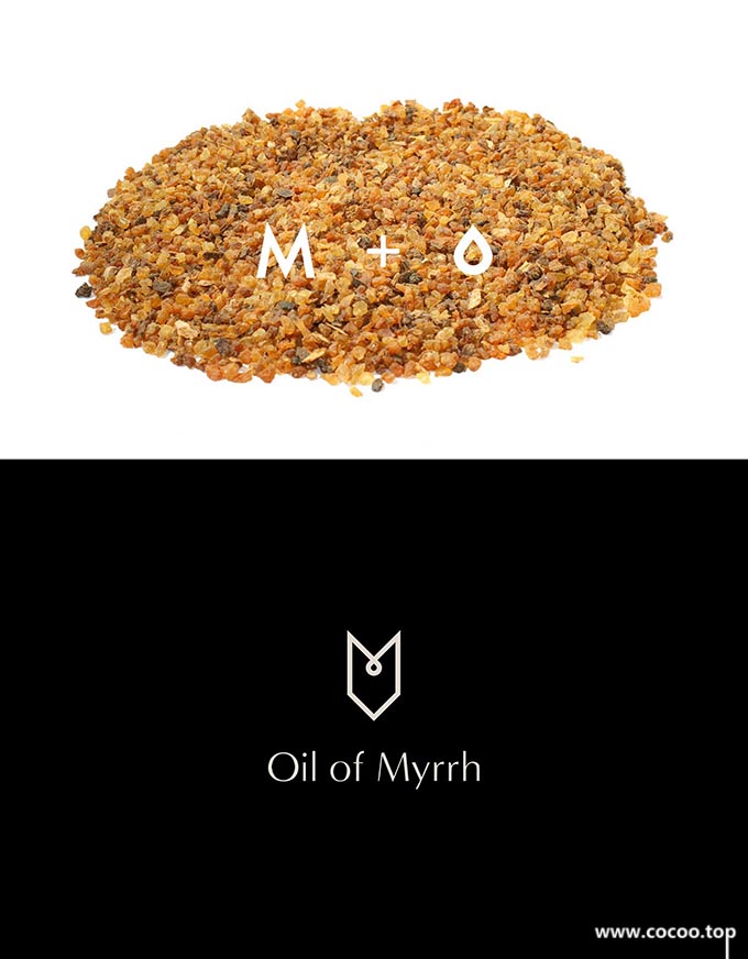 美发造型logo设计,土豆造型logo设计