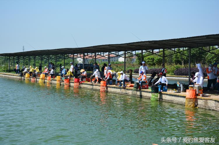 客友员工全体犯“最”，你怕了吗？