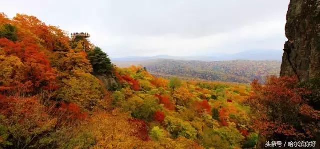阿城有希望吗,阿城未来的发展