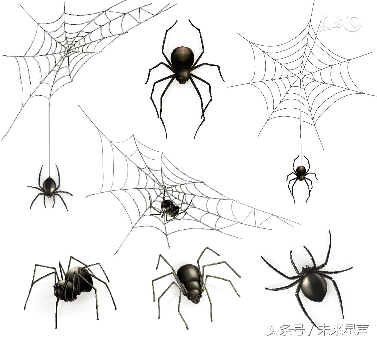 女生最害怕的这几种小动物，看看自己中招了没有