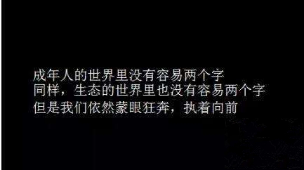 理想和现实之间的差距,理想和现实是有差距的