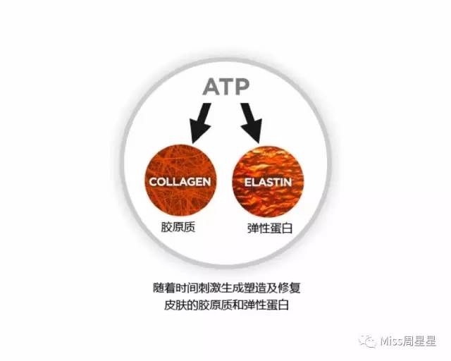 提拉紧致美容仪评测 (紧致提拉美容仪到底有没有用)