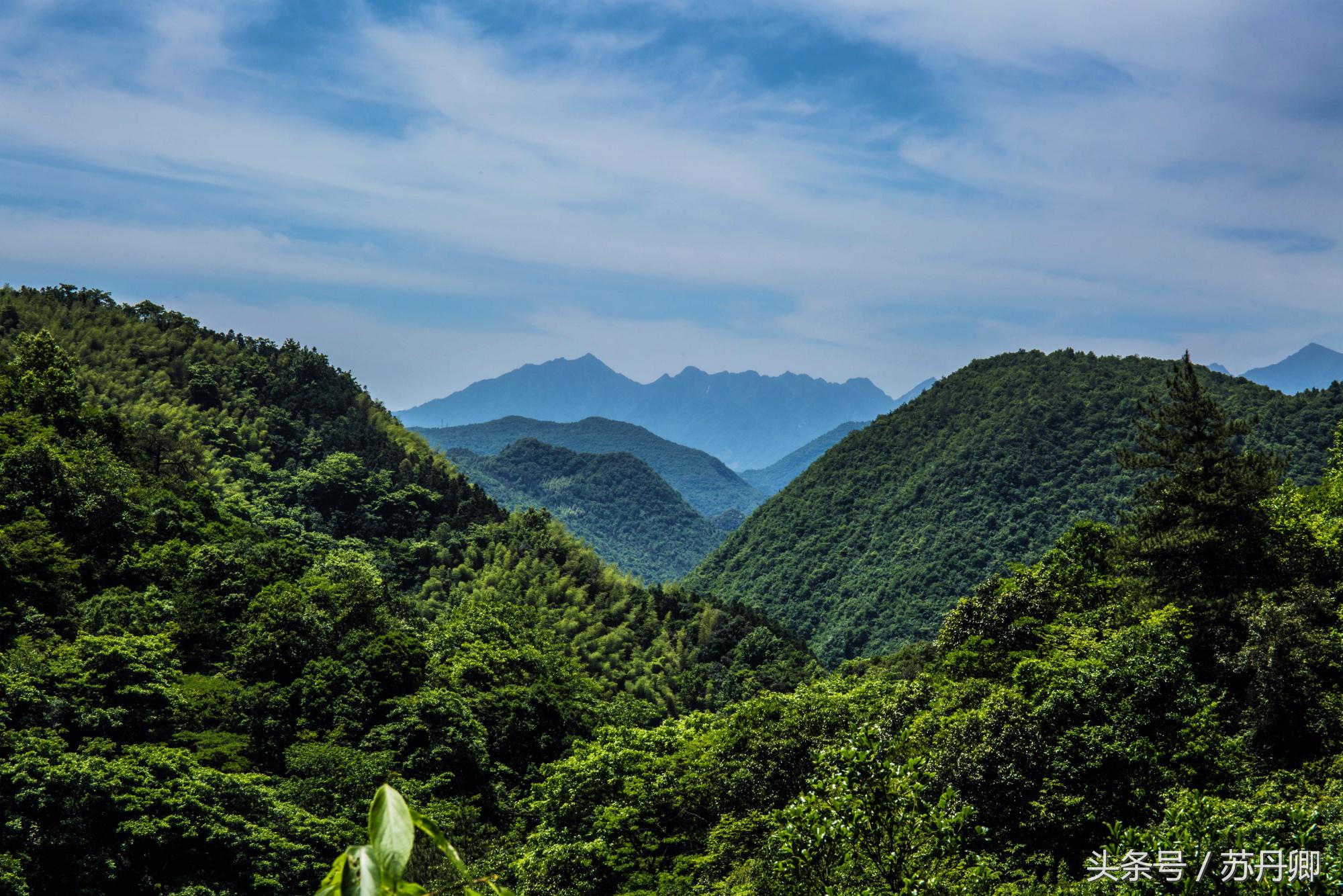 在水下洞穴探险,森林海自由潜水