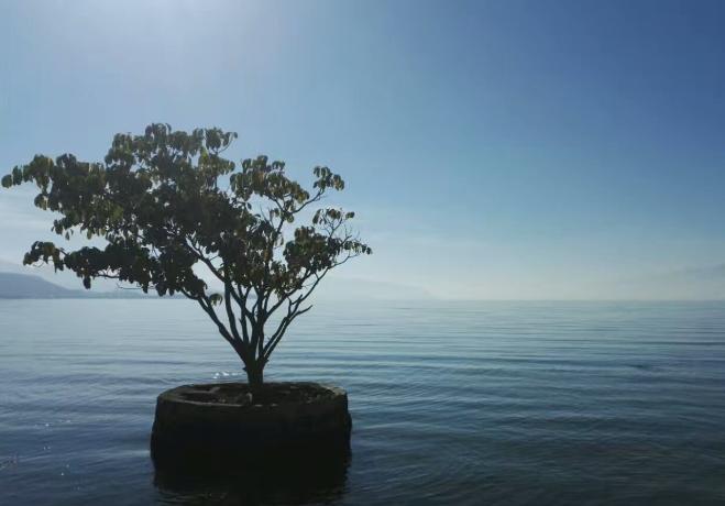 用我的经验告诉你，如何登顶苍山