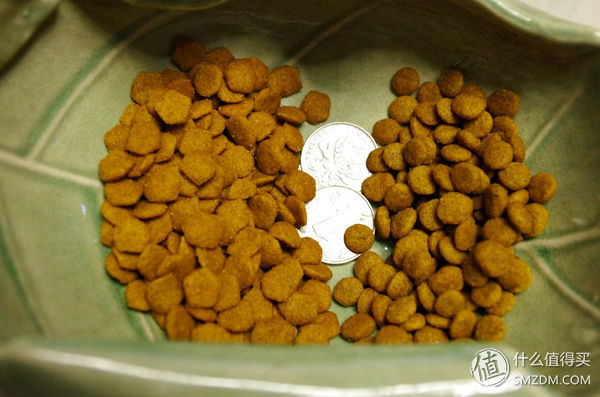 简单训犬小技能,简单学训犬