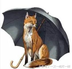 一把伞撑出花花世界，不开劳斯莱斯雨中照样傲娇走