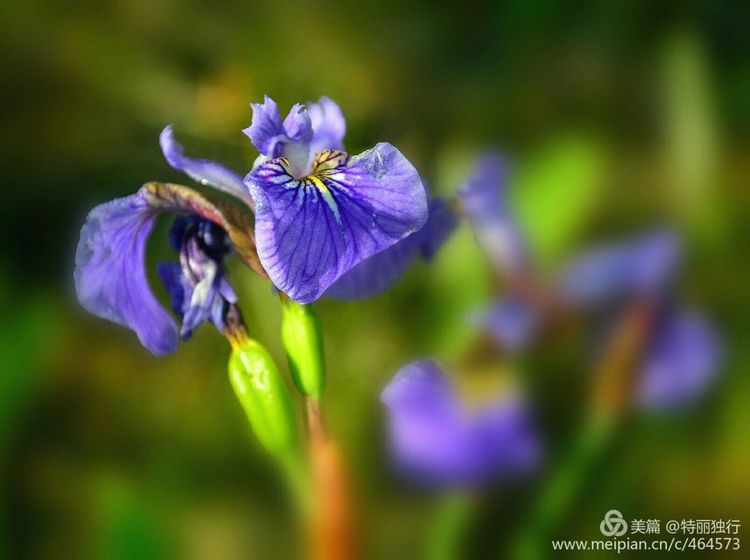 走过四季夏天最美,走过春夏美丽的秋冬