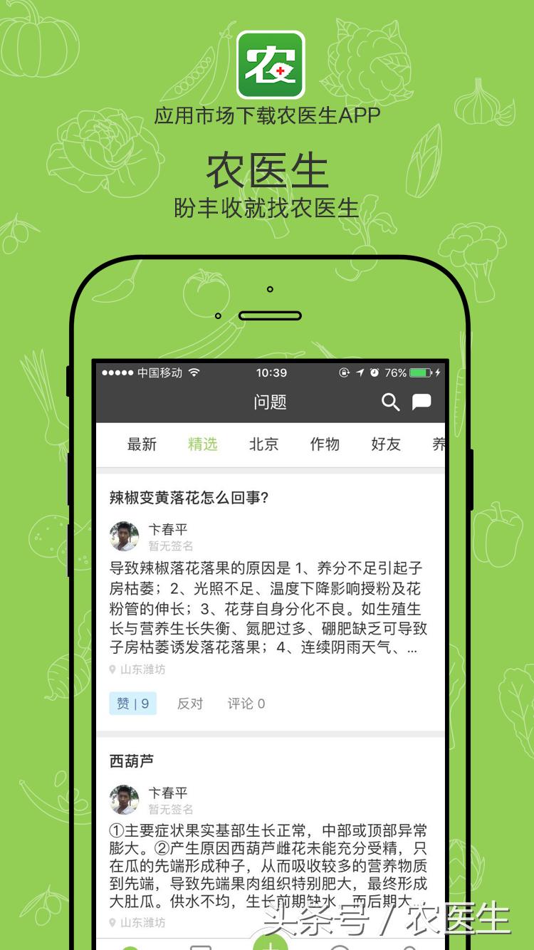 玉米穗下叶子发黄减产吗,玉米叶黄怎么回事