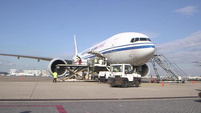 怎么鉴别海淘产品的真伪,海淘电商真假查询