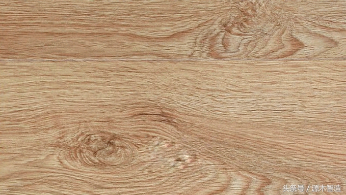 木材介绍之橡木,橡木是什么树的木材