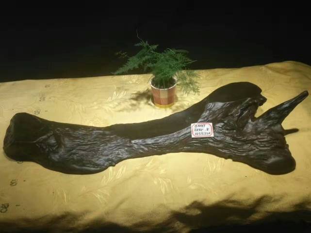 金丝楠乌木金玉满堂茶盘,茶盘推荐黑檀木茶盘