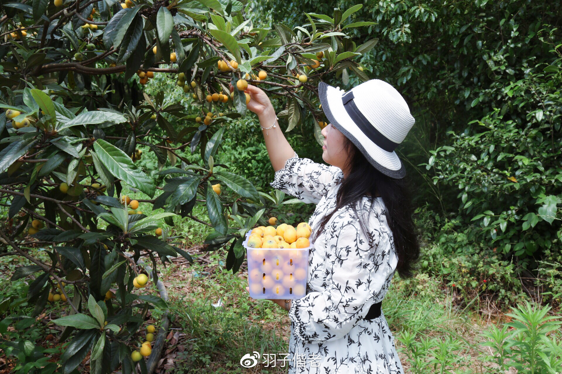 溧阳日日春农庄一日游,溧阳日日春农庄