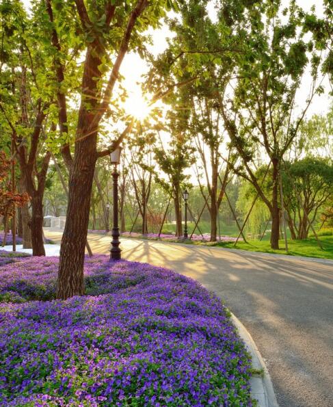 英国宫河景房,英国宫精装