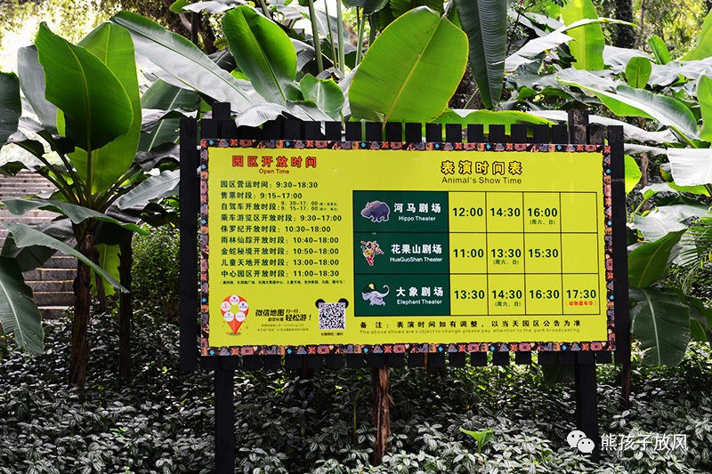 广州长隆野生动物园游玩攻略,广州长隆野生动物园攻略自由行