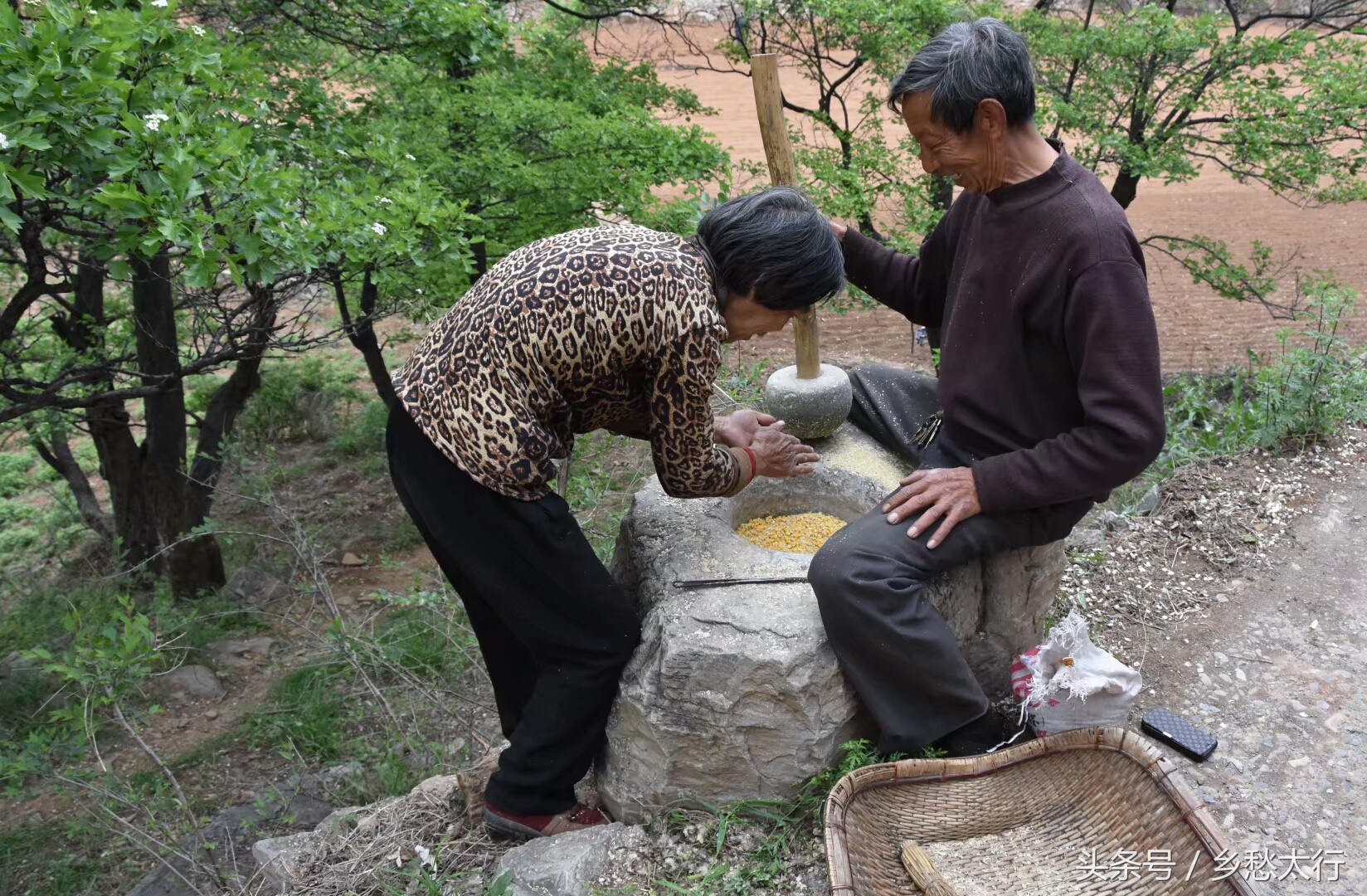 记在心底的玉黍米面条汤
