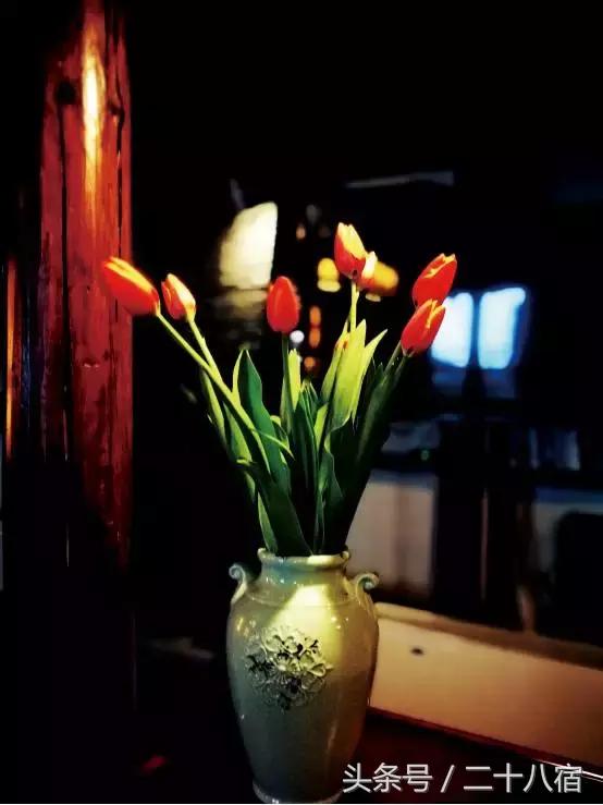 老树林,老树林春夏秋冬