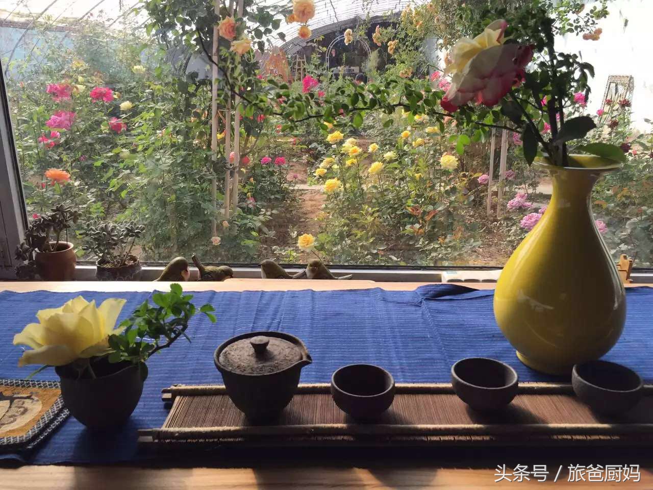 这些植物千万别让孩子靠近,适合小孩卧室养的植物