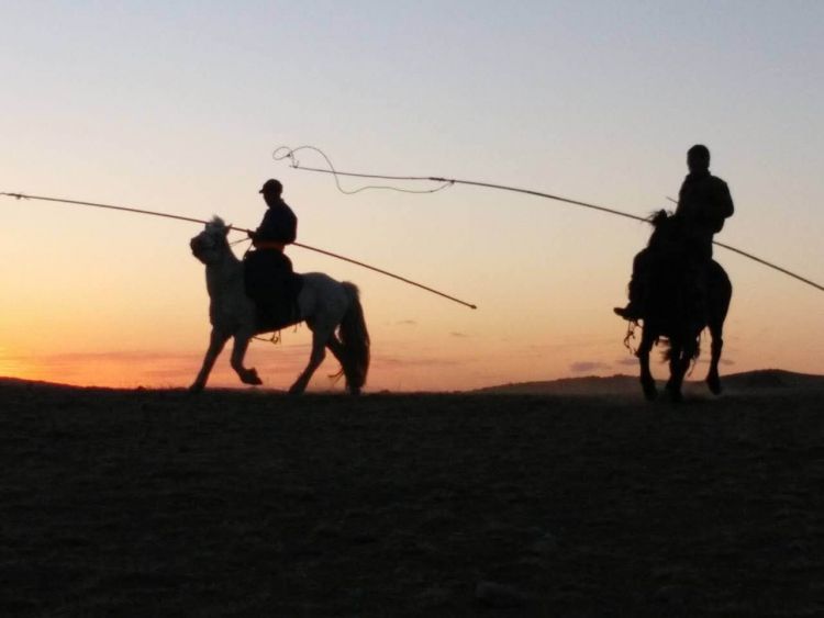 万里茶道上的体育盛宴——昆仑决多伦诺尔王者之战即将上演