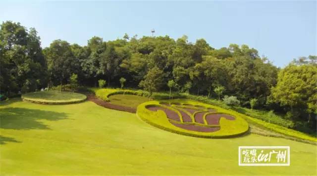 广州最新最美最好玩的景点,广州最值得去玩的景点推荐一下