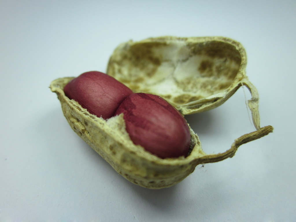 花生六大吃法,花生6种花样吃法