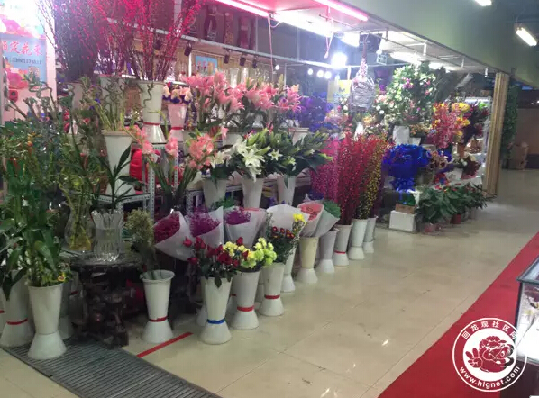 北京回龙观花鸟鱼虫,昌平回龙观附近的花鸟鱼虫市场