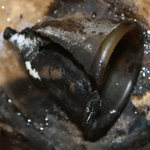 这个专属姑娘们的神奇“套子”