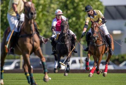 紫懿控股冠名世界三大烧钱体育赛事-马球