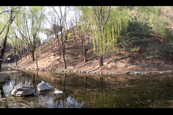 佳能eos77d镜头挑选,小白摄影入门了解佳能77d