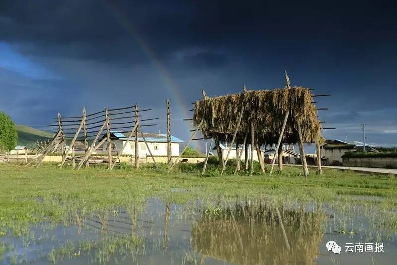 云南最值得去的地方排行榜第一名,云南哪些方面世界第一