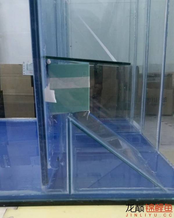 地缸推荐,家里可以搞个多大的地缸