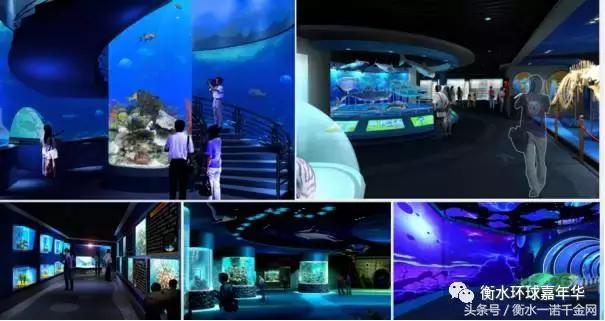 衡水乐园有哪些,衡水湖乐园