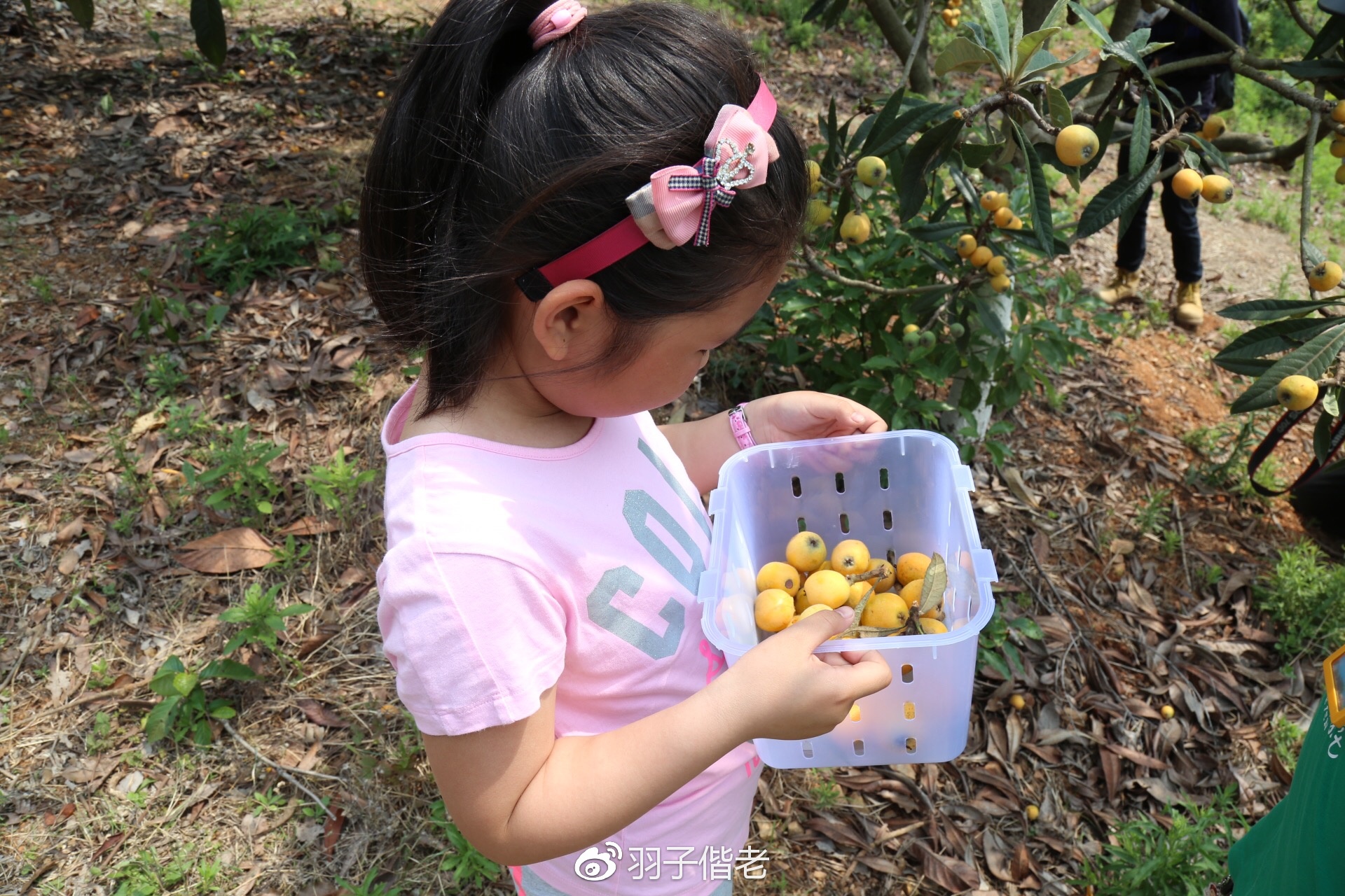 溧阳日日春农庄一日游,溧阳日日春农庄