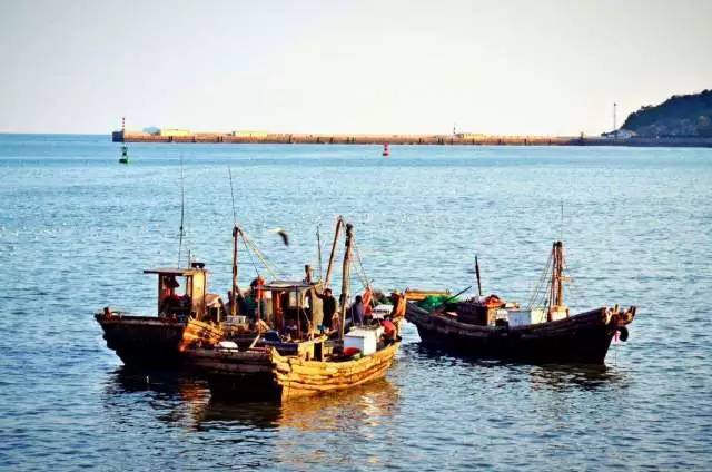 大连海鲜6月份,大连海鲜季节表