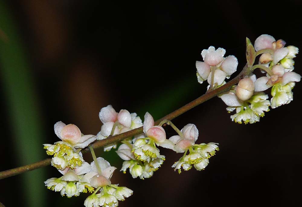 预防胃癌饮食方面谨记这5点,彻底治愈胃癌的食物有哪些